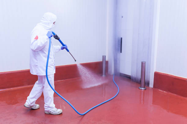 Best Roof Washing  in Islip Terrace, NY